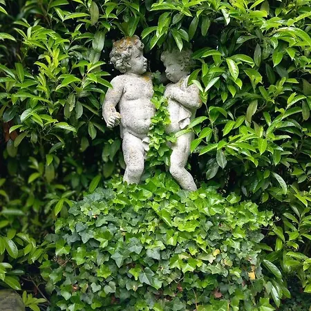 Domaine Du Bosc Roger - Privatisation * Bouquetot